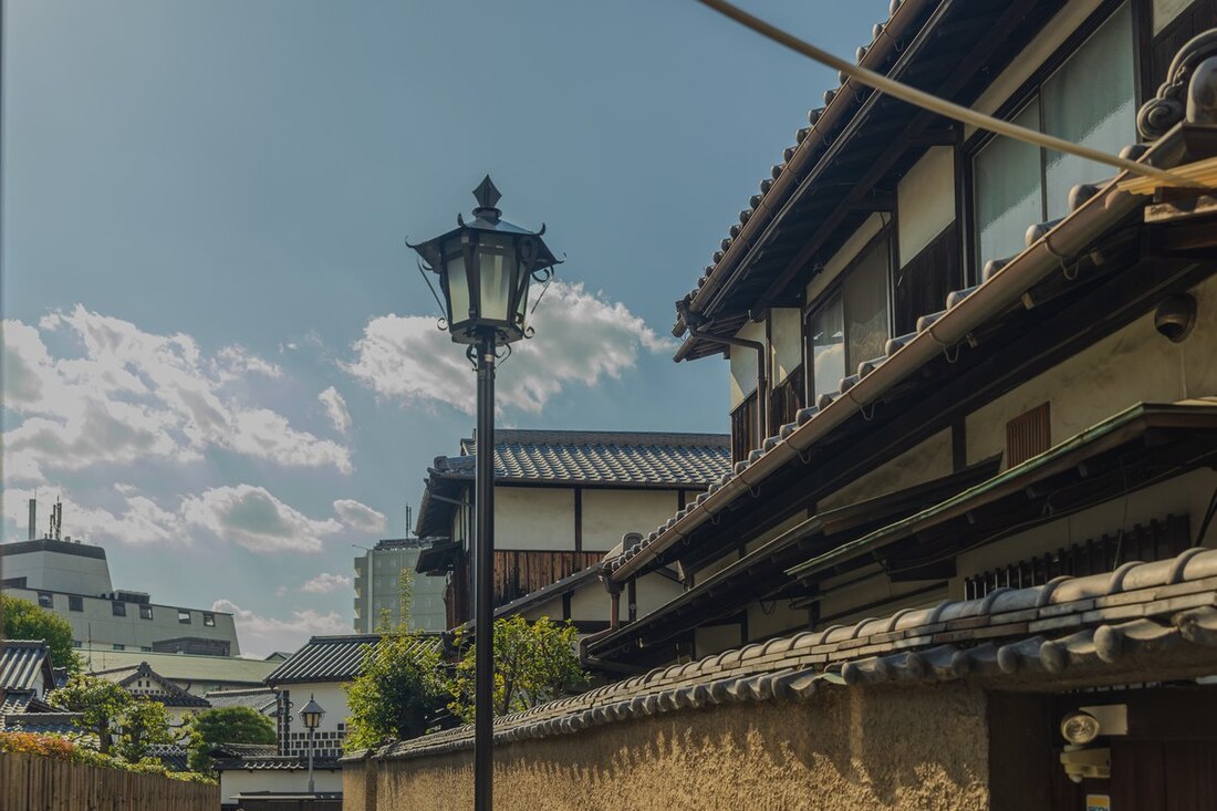 Daylight on traditional rooflines — a frame from Stevie's own camera