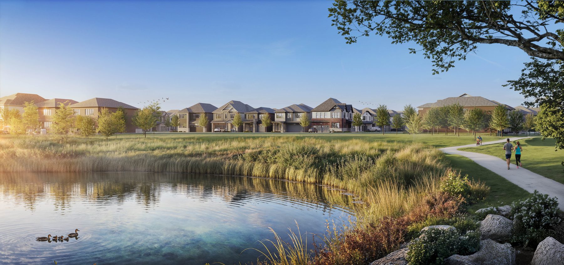 The Heights of Harmony East houses viewed across a community pond and walking path (artist's concept)