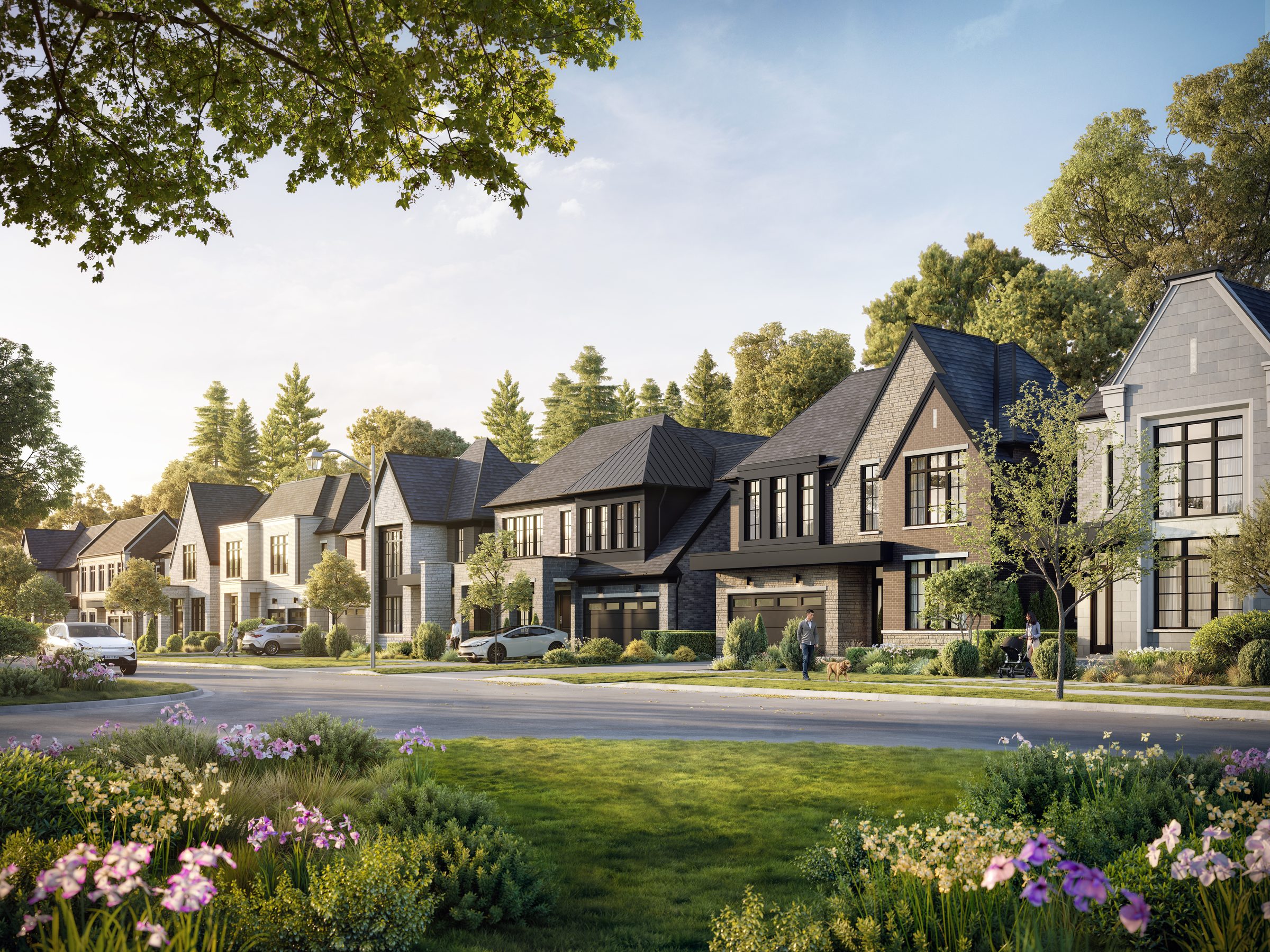IRIS streetscape featuring several large houses along a tree-lined road (artist's concept)
