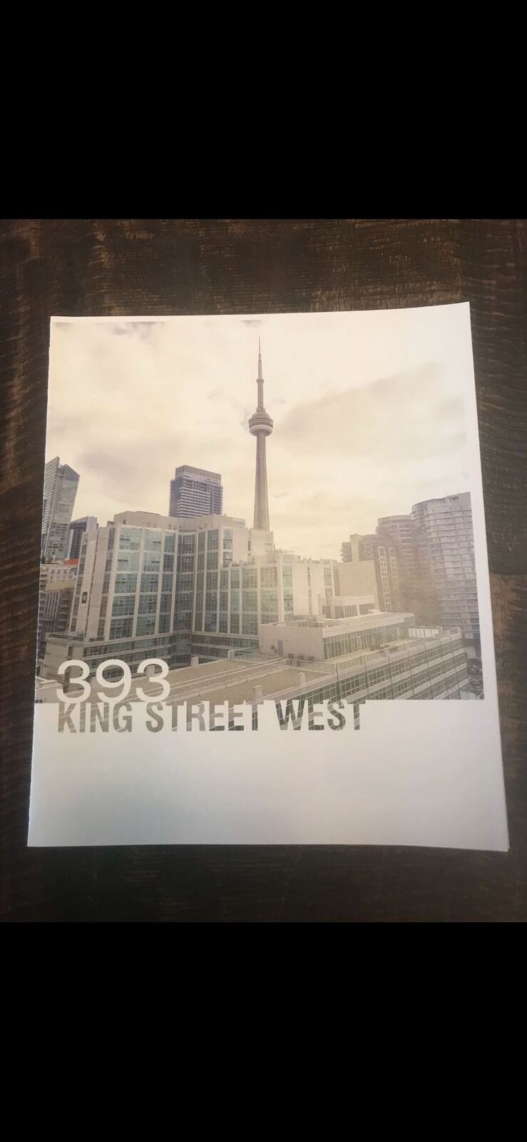393 King Street W photo 6