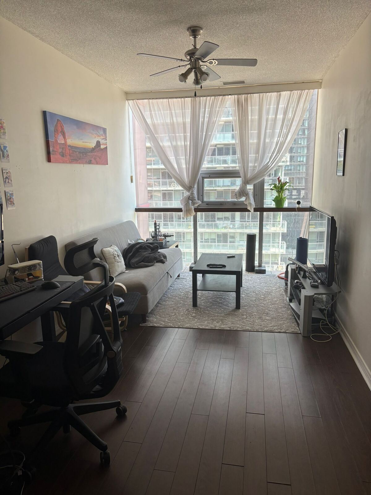 393 King Street W photo 16
