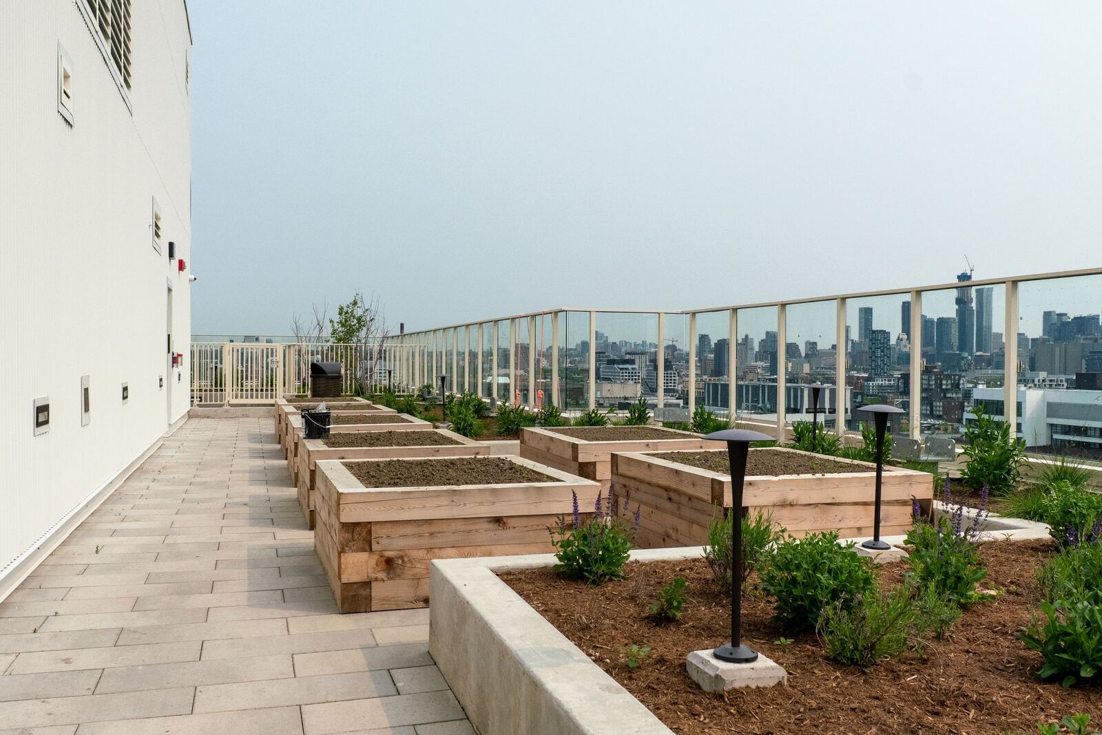 88 Bathurst Street photo 61