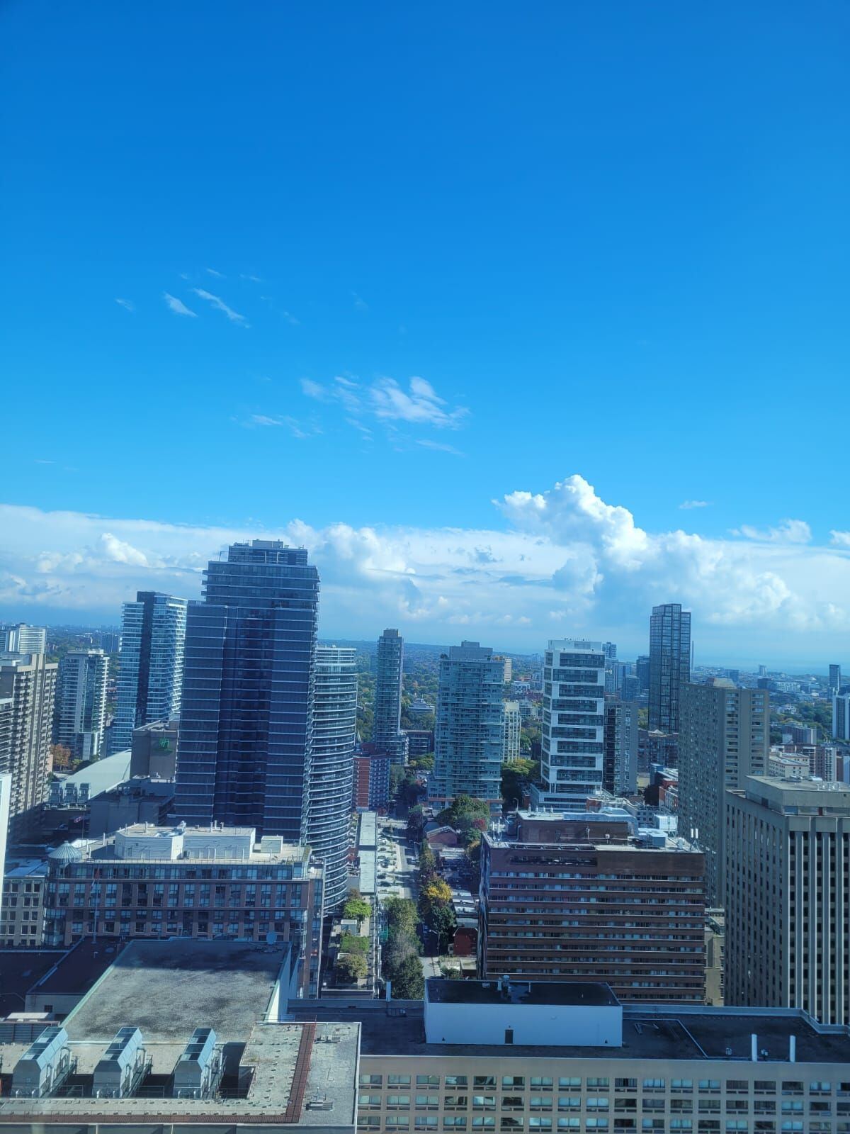 763 Bay Street photo 4