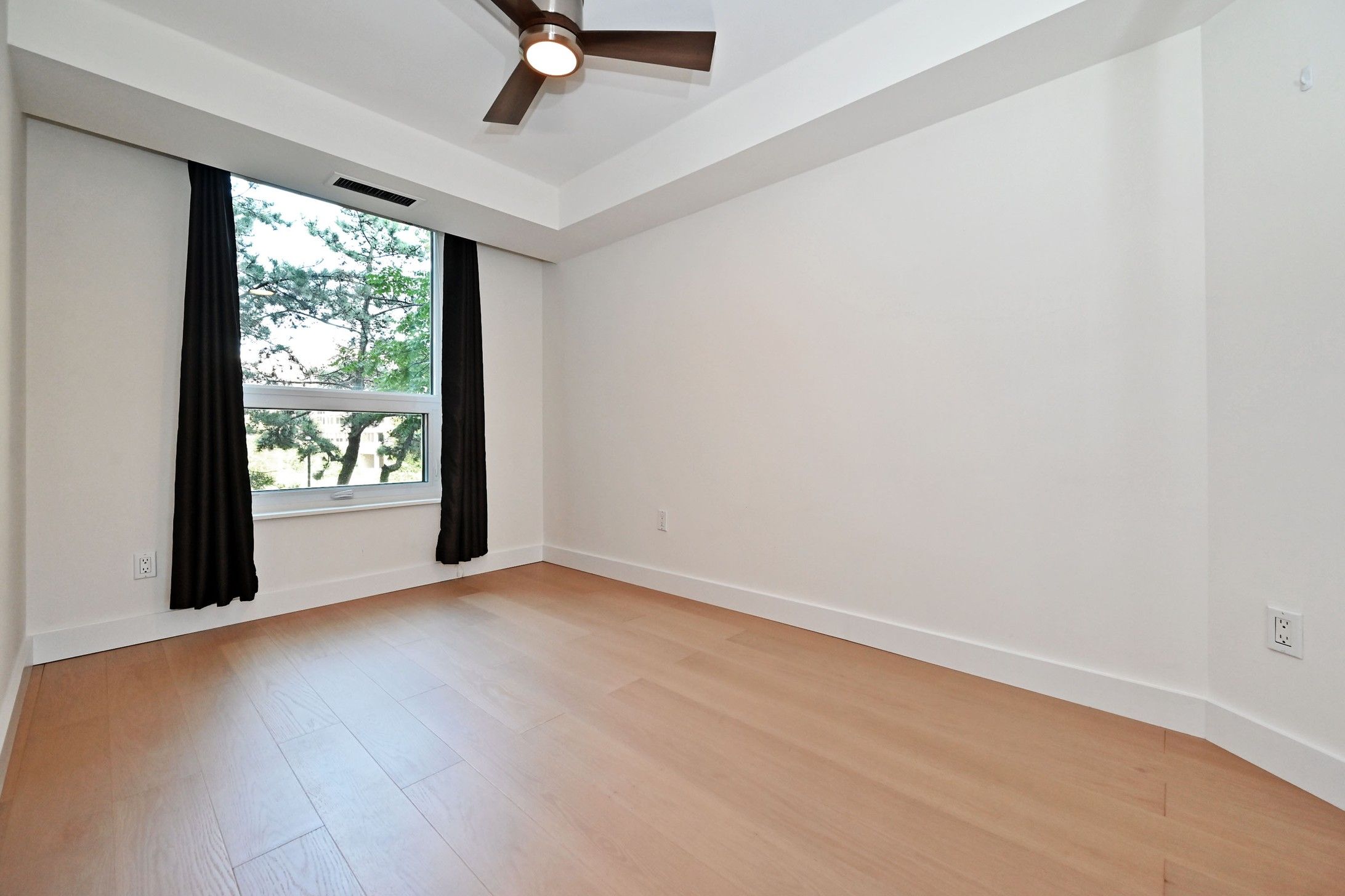 77 Maitland Place photo 32