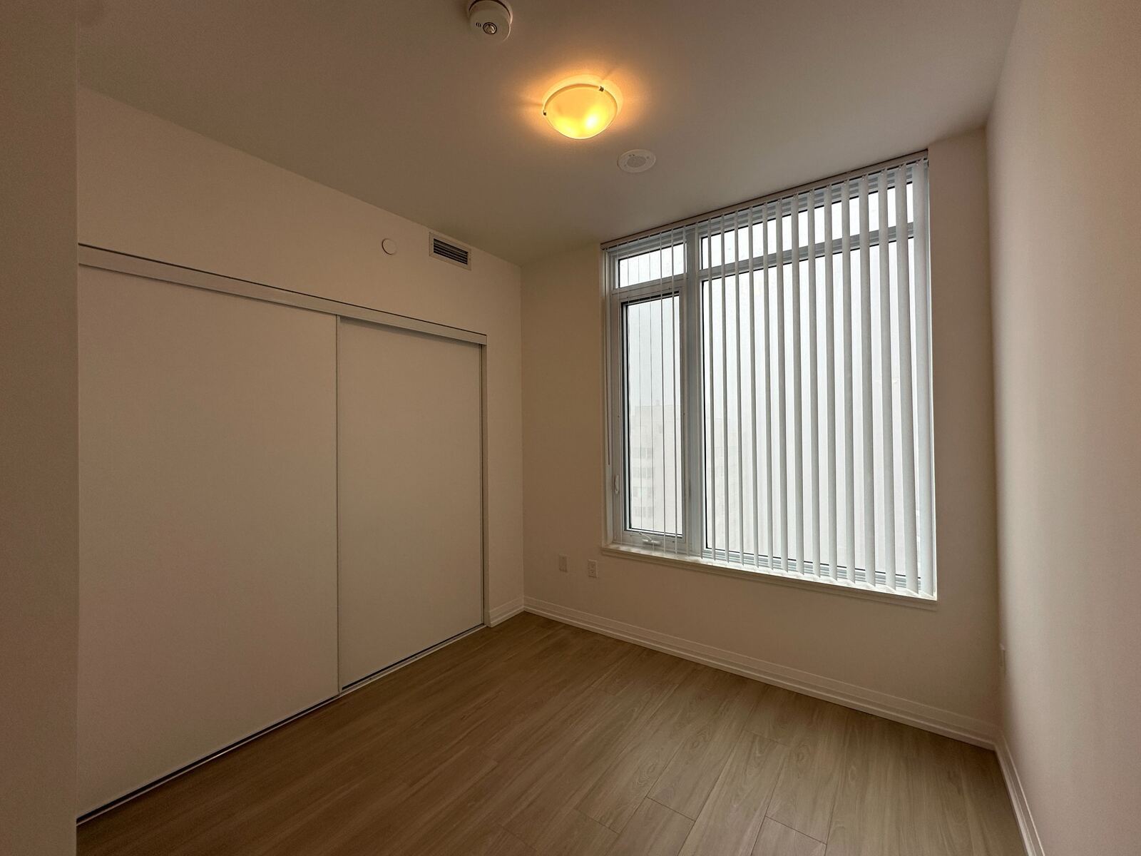 25 Holly Street photo 3