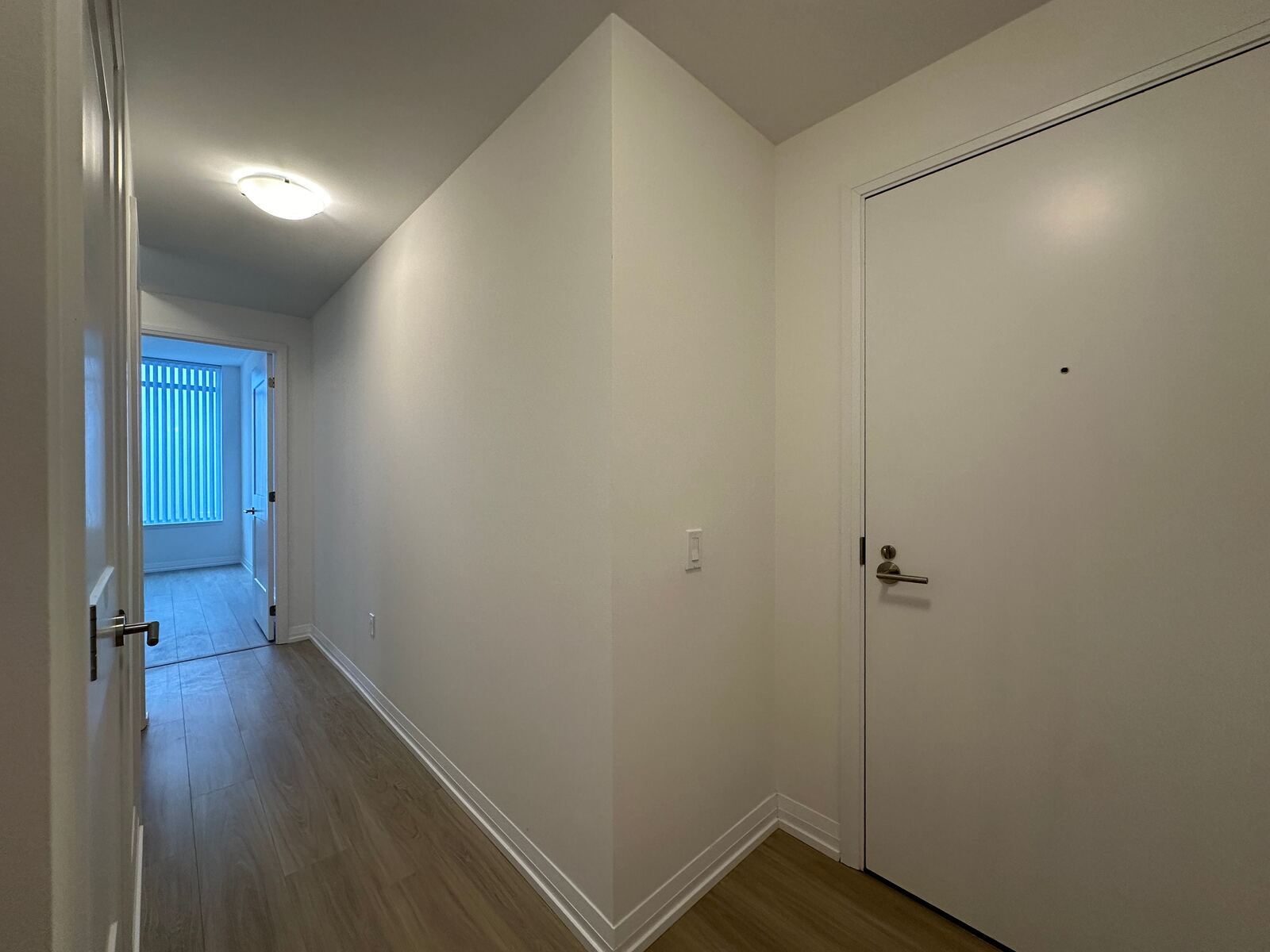 25 Holly Street photo 8