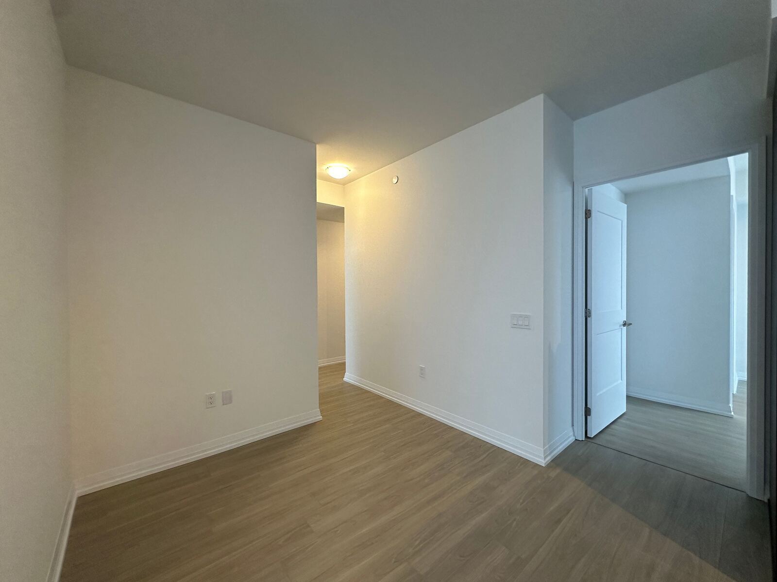25 Holly Street photo 23