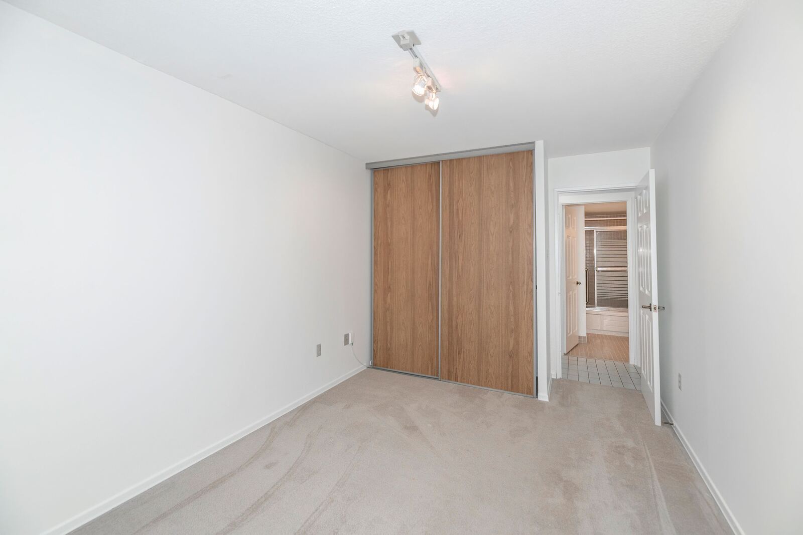45 Carlton Street photo 17