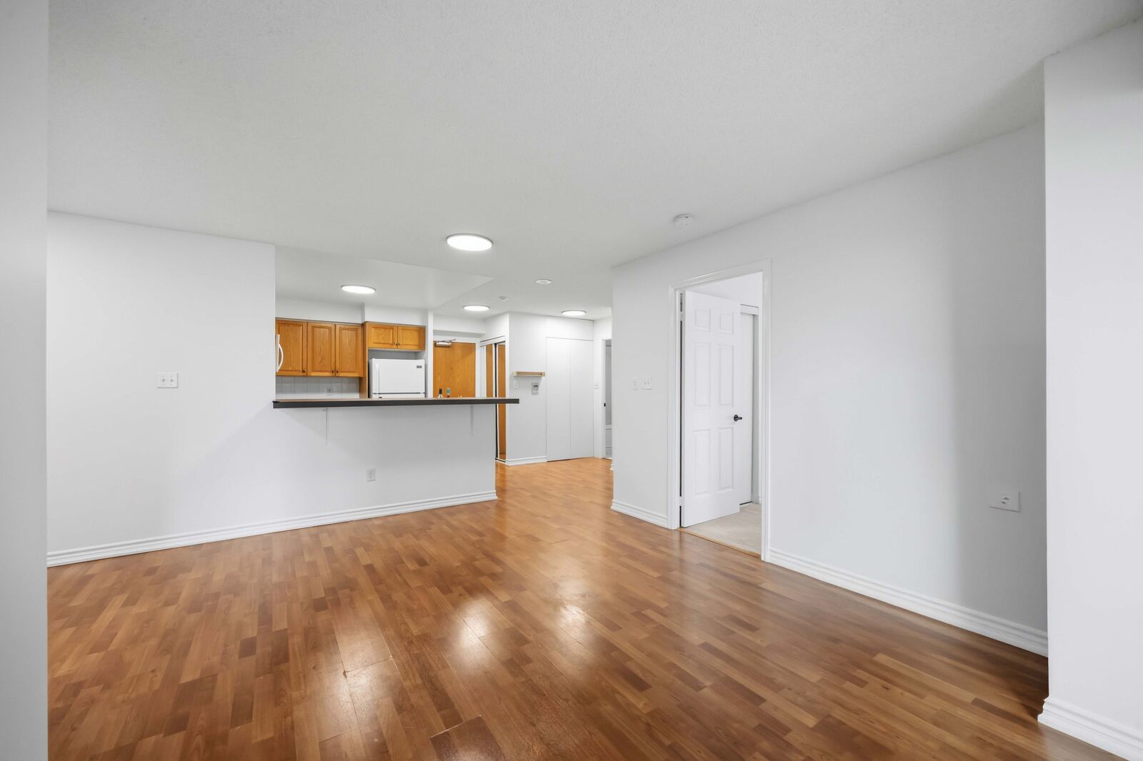 7 Lorraine Drive photo 18