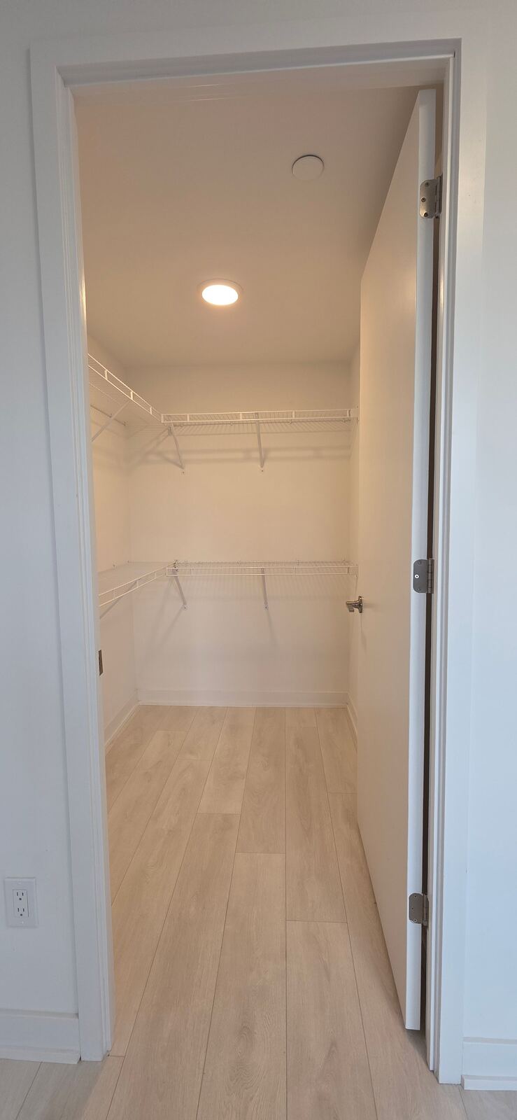 8 Tippett Road photo 7