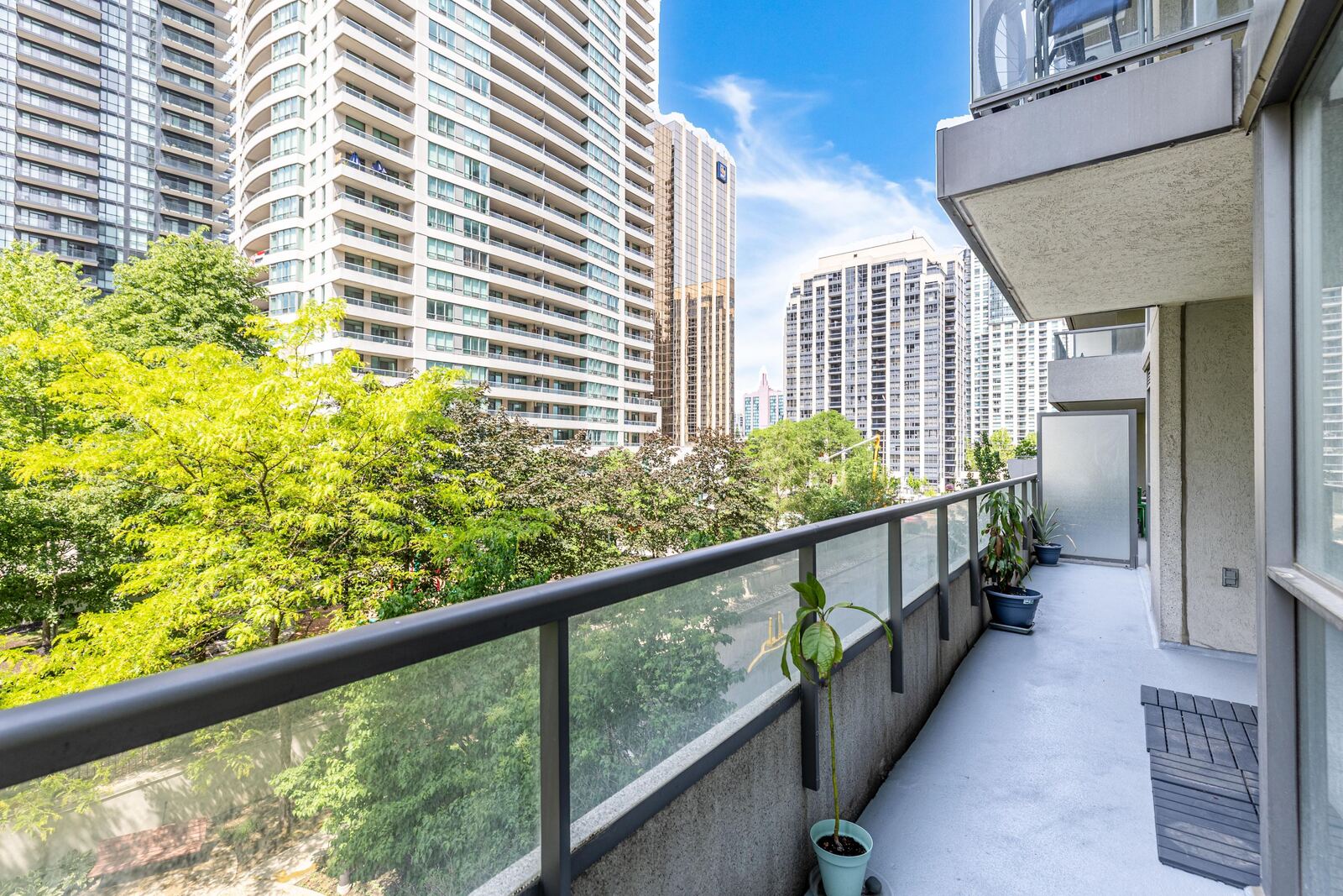 35 Hollywood Avenue photo 61