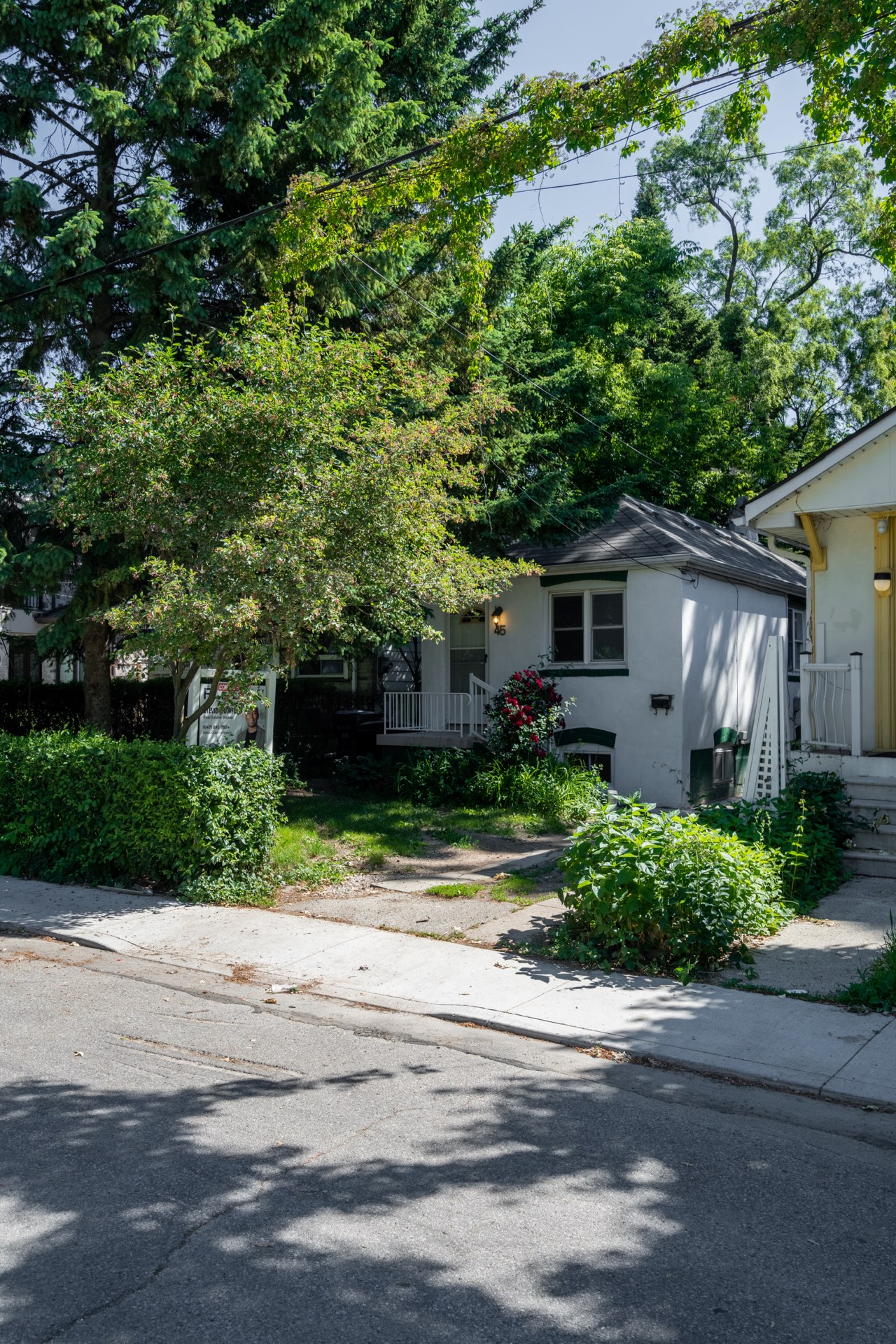 45 McDonald Ave