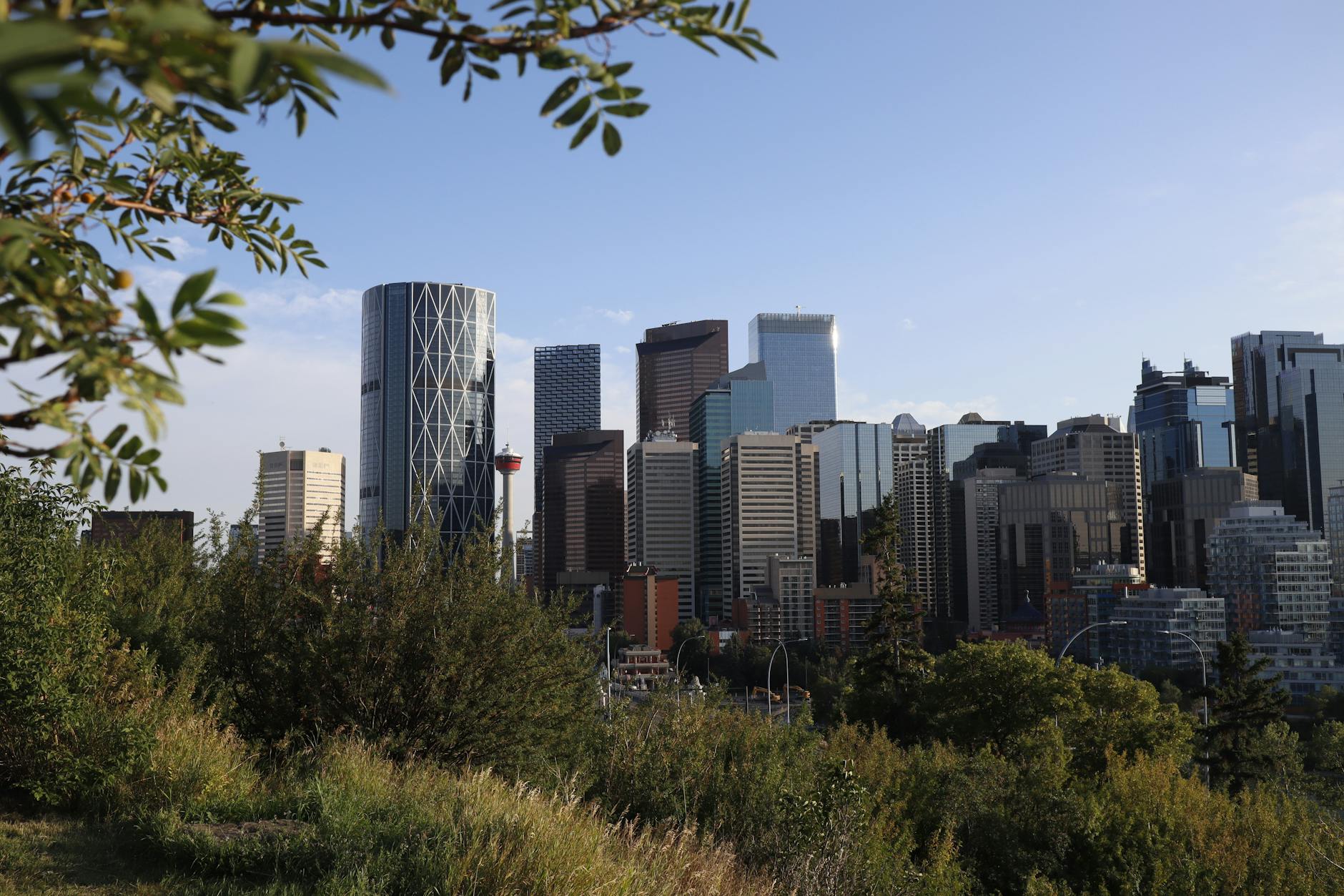 The Best Toronto Neighbourhoods for Families in 2026
