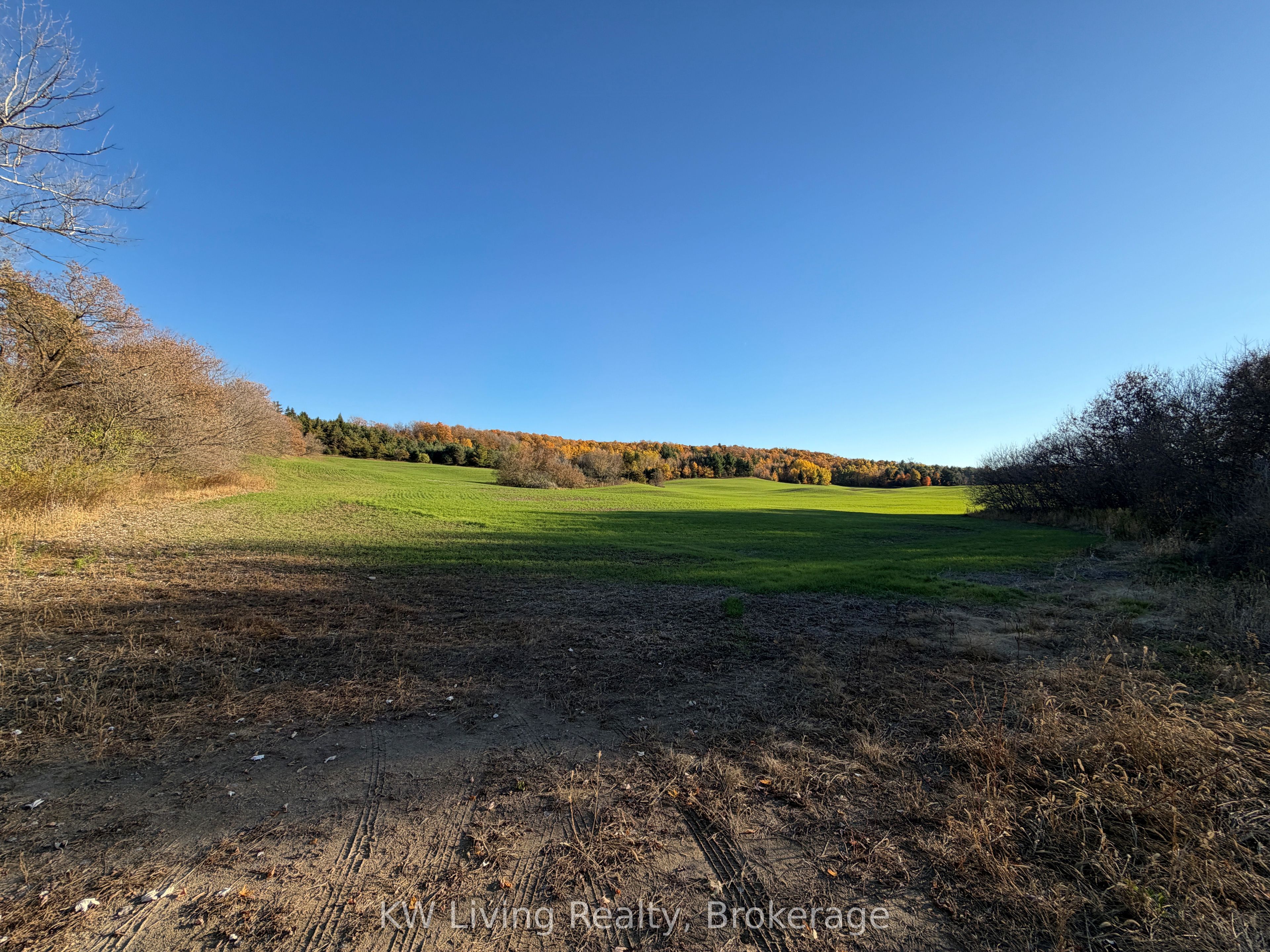 16724 Mount Wolfe Road, Caledon, ON L7E 3P1